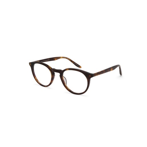 BARTON PERREIRA Princeton CHE 