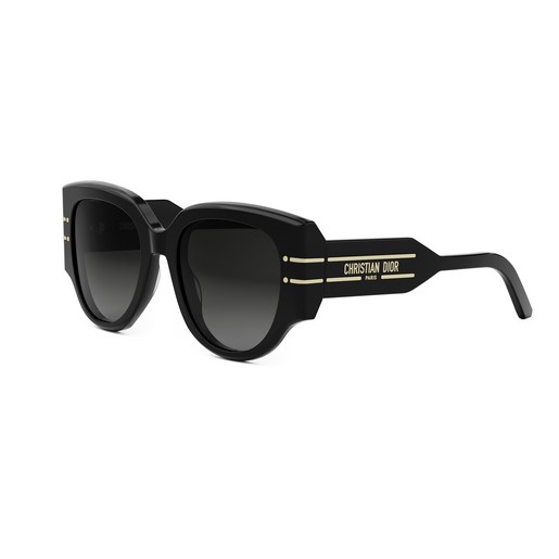 DIOR DiorSignature R2I 10A1