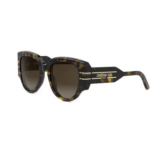 DIOR DiorSignature R2I 20F1