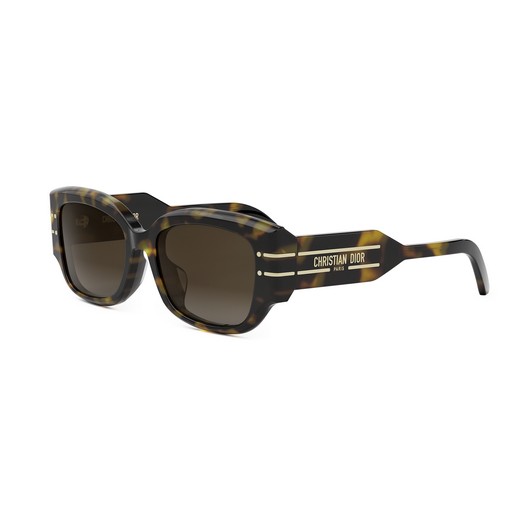 DIOR DiorSignature S13F 20F1