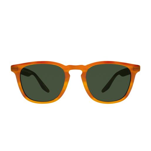 Barton Perreira DINO IDD/VRD