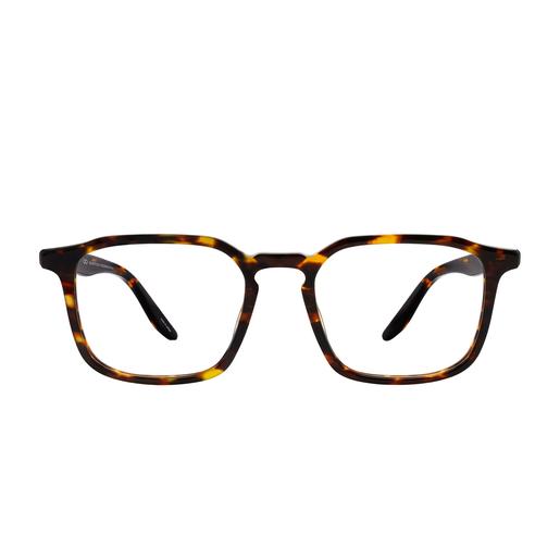 Barton Perreira RAYMOND CTO