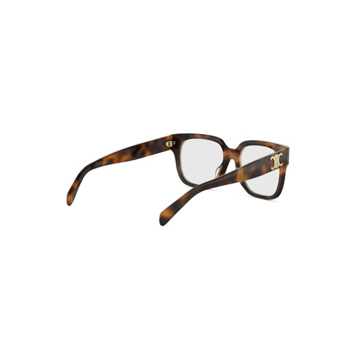 CELINE CL50172I 053 Triomphe