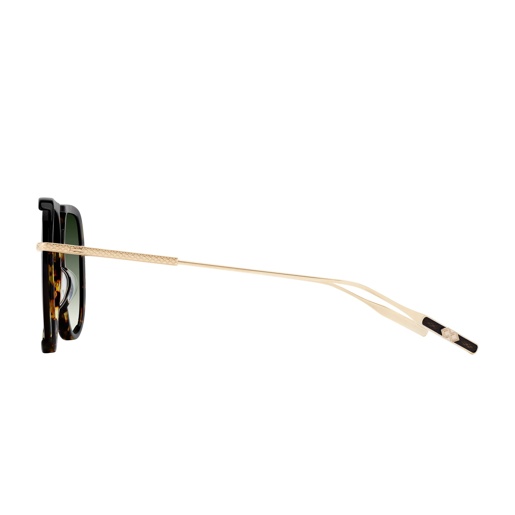 BARTON PERREIRA AURIOL CLL 