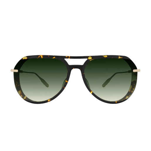 BARTON PERREIRA AURIOL CLL 