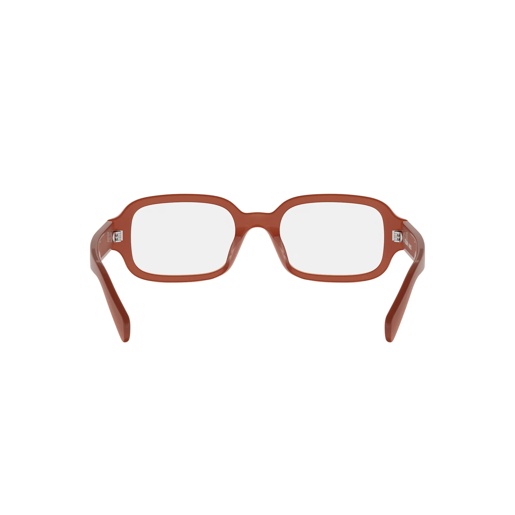 CELINE CL50173I 047 Triomphe