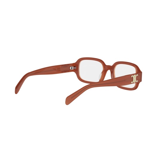 CELINE CL50173I 047 Triomphe