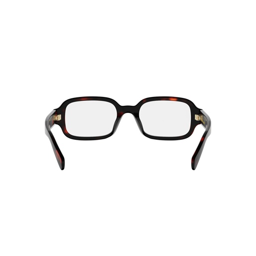 CELINE CL50173I 052 Triomphe