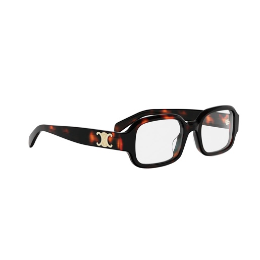 CELINE CL50173I 052 Triomphe