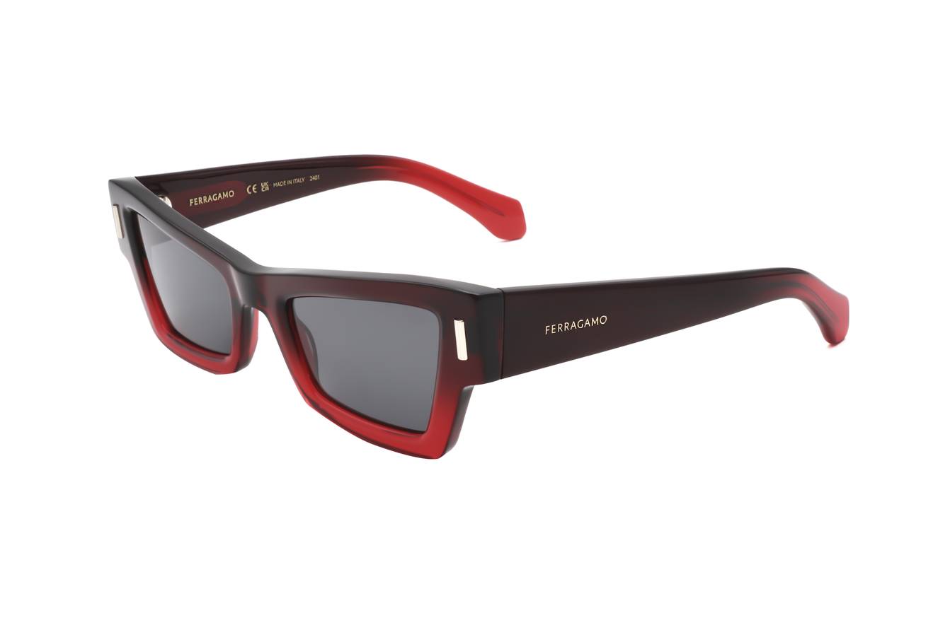 Salvatore Ferragamo SF2006S 615