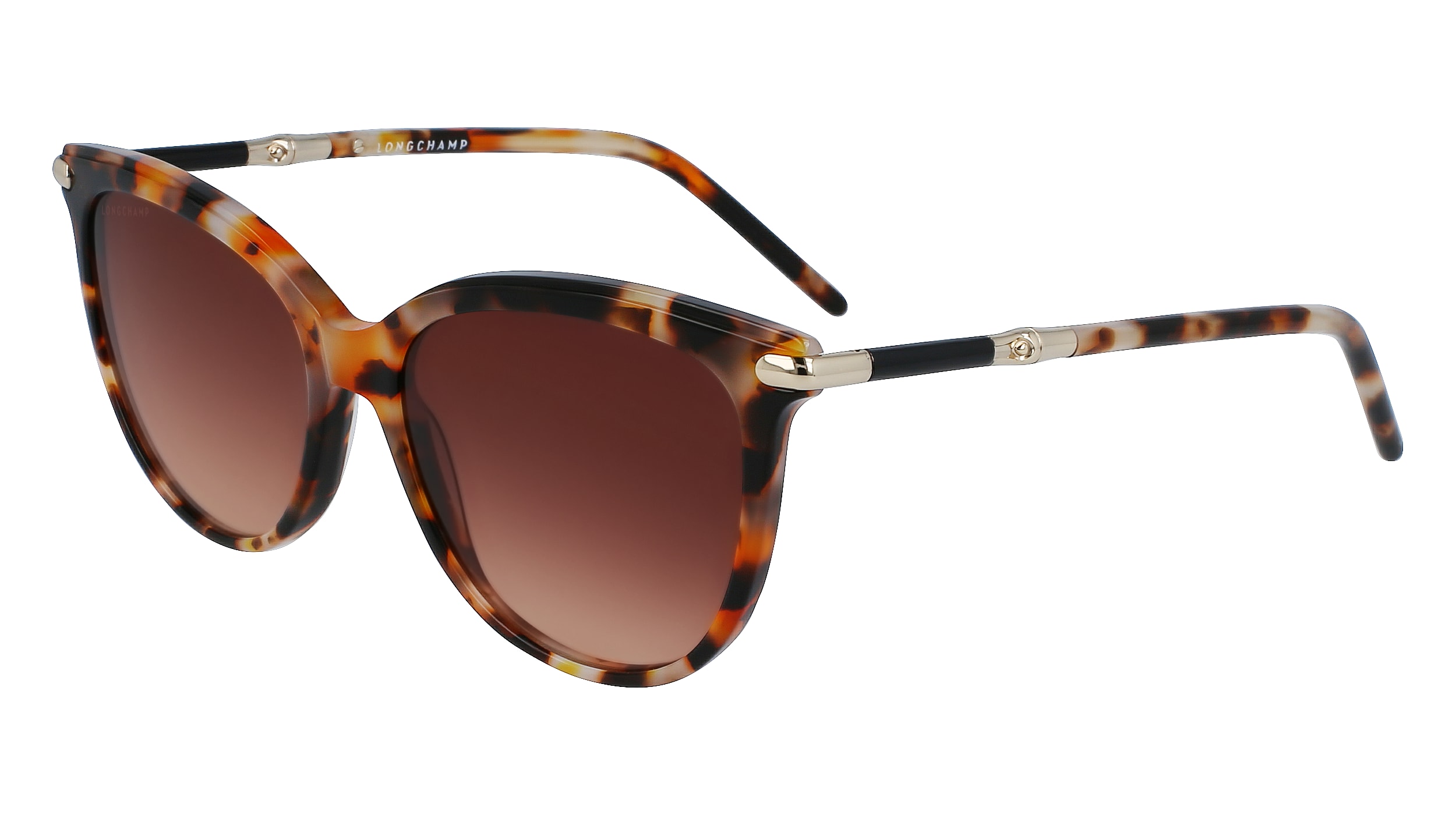 LONGCHAMP Woman LO727S 239 Sunglasses Acetate Havana Brown Geometric Normal Normal-image