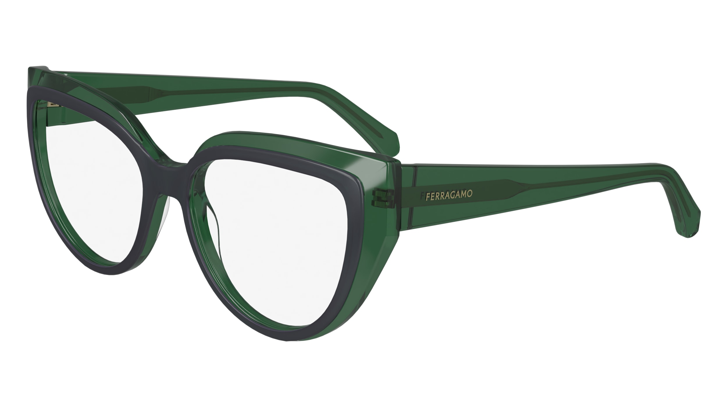Salvatore Ferragamo SF2984 318