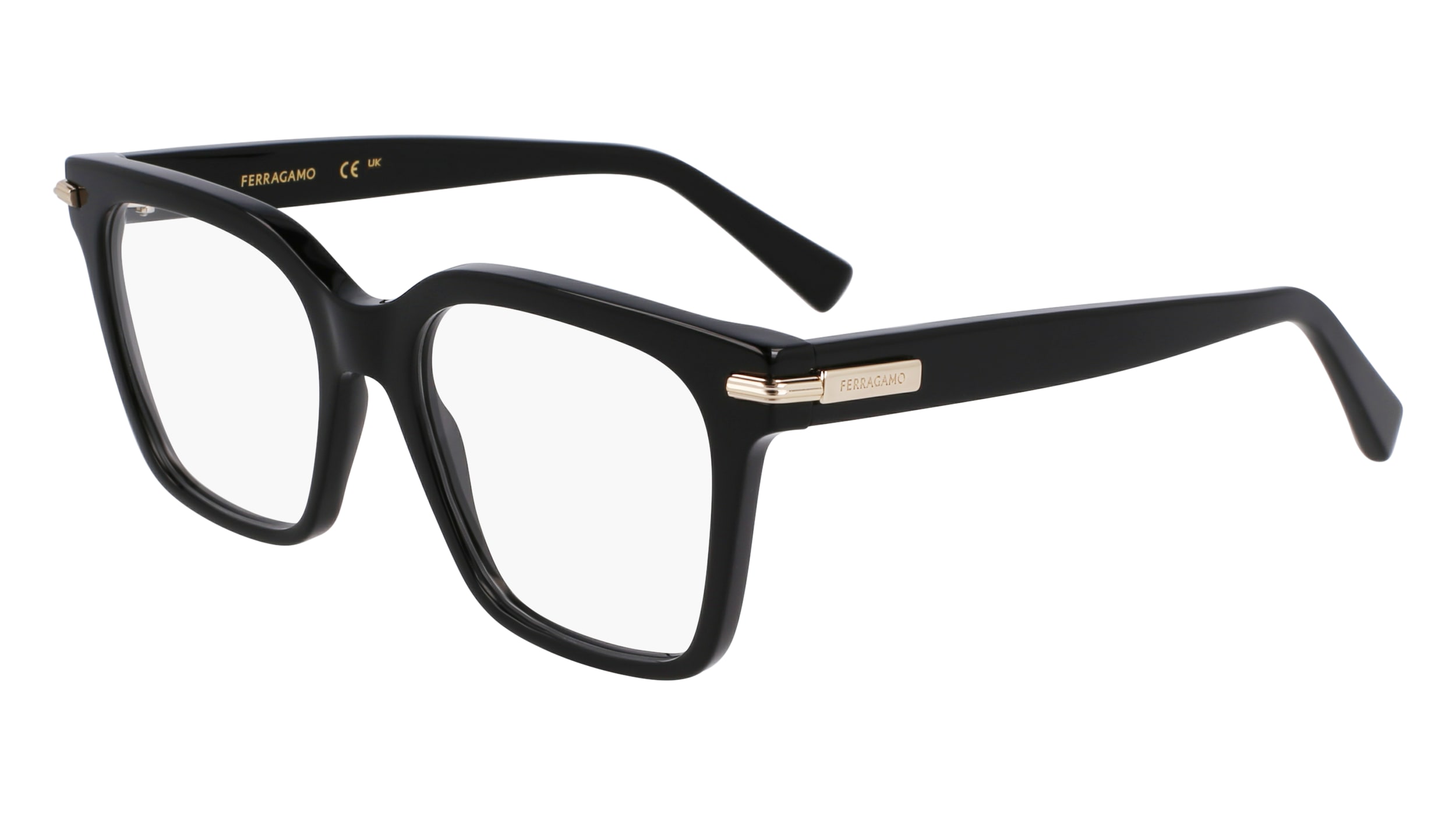 Salvatore Ferragamo SF3009 001