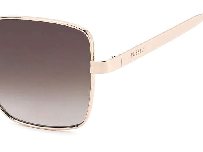 Fossil FOS 3182/G/S AU2/HA  