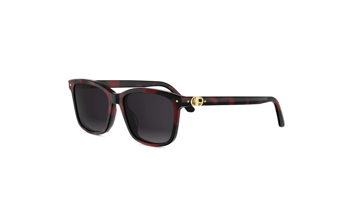 Dior Petit Cd S2I 25A1